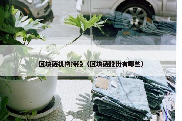 区块链机构持股（区块链股份有哪些）