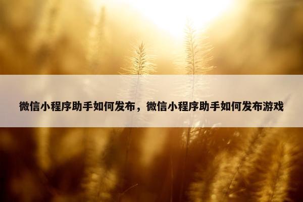 微信小程序助手如何发布，微信小程序助手如何发布游戏