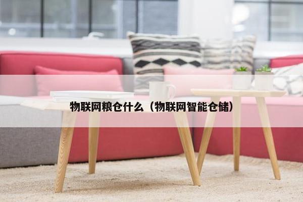 物联网粮仓什么（物联网智能仓储）