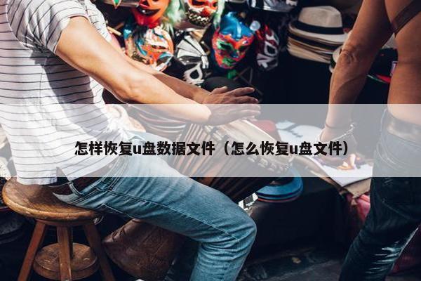 怎样恢复u盘数据文件（怎么恢复u盘文件）