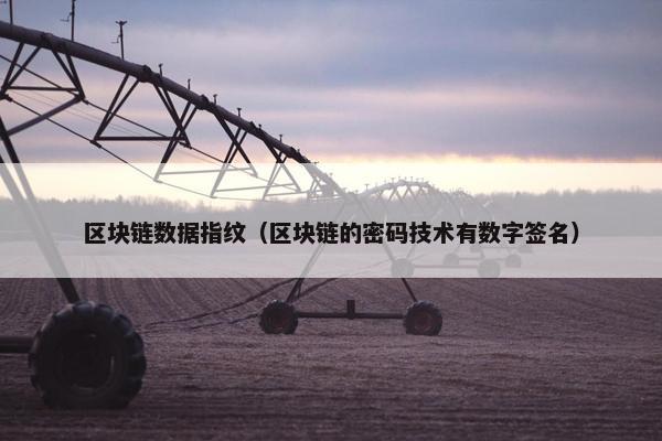 区块链数据指纹（区块链的密码技术有数字签名）