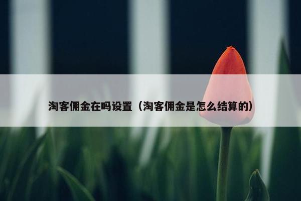 淘客佣金在吗设置（淘客佣金是怎么结算的）