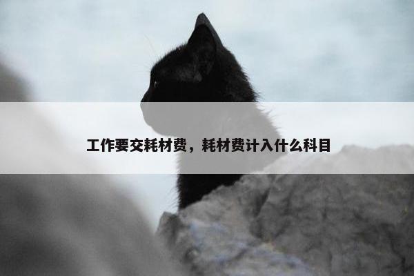 工作要交耗材费，耗材费计入什么科目