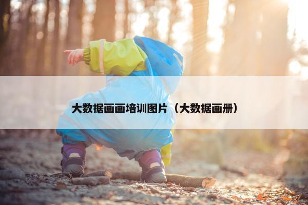 大数据画画培训图片（大数据画册）