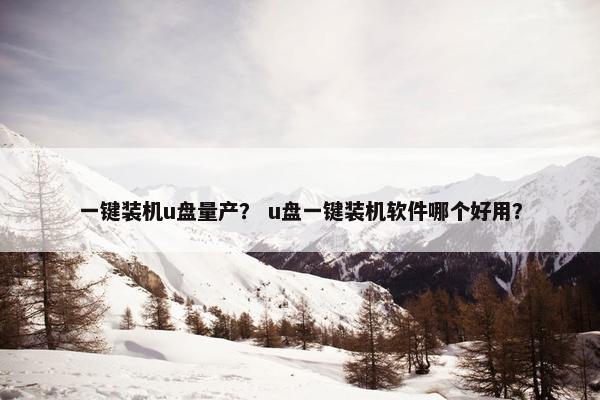 一键装机u盘量产？ u盘一键装机软件哪个好用？