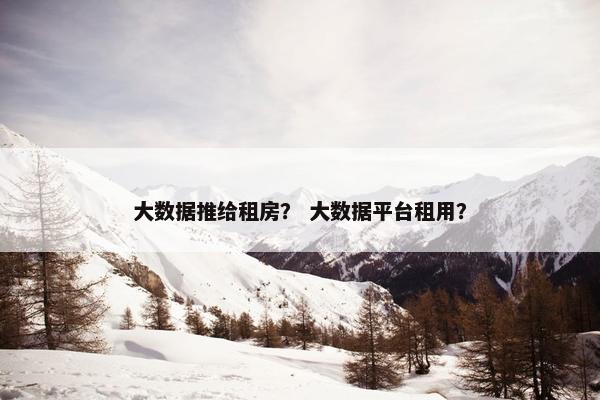 大数据推给租房？ 大数据平台租用？