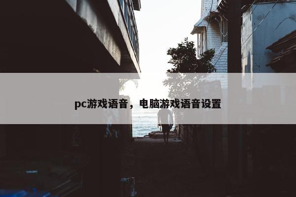 pc游戏语音，电脑游戏语音设置