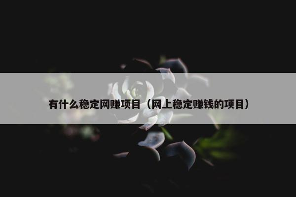有什么稳定网赚项目（网上稳定赚钱的项目）