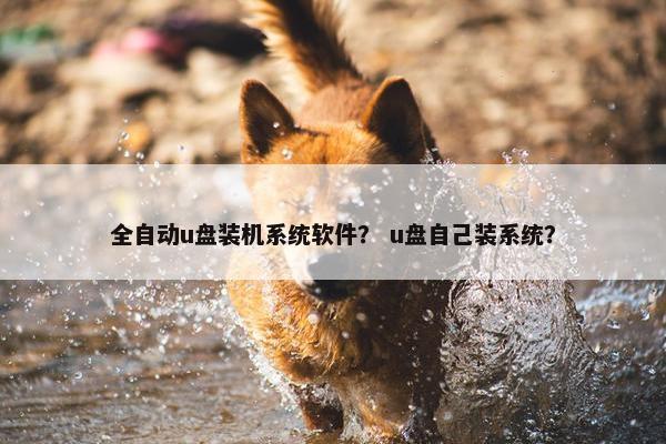 全自动u盘装机系统软件？ u盘自己装系统？