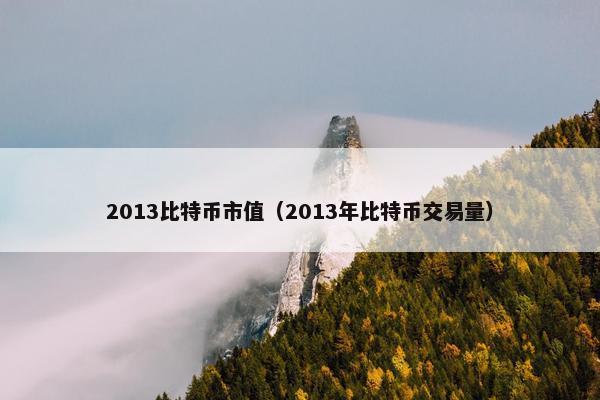 2013比特币市值（2013年比特币交易量）