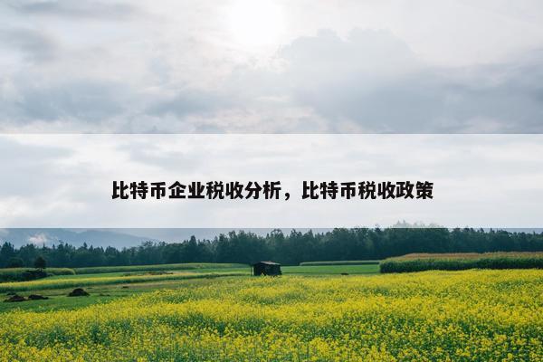 比特币企业税收分析，比特币税收政策
