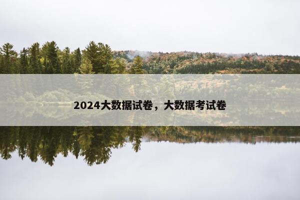 2024大数据试卷，大数据考试卷