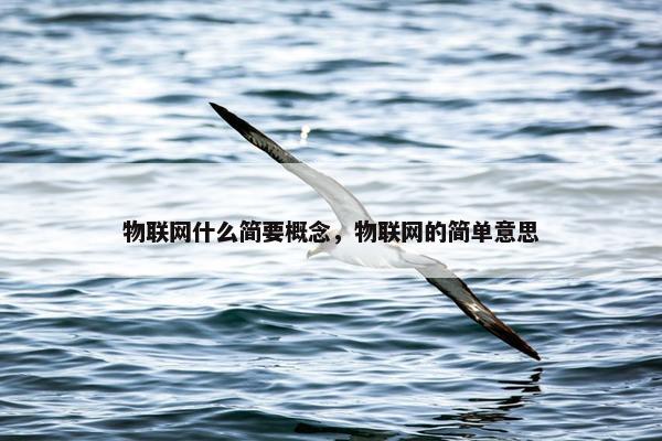 物联网什么简要概念，物联网的简单意思