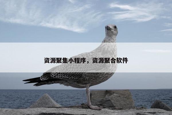 资源聚集小程序，资源聚合软件