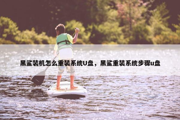 黑鲨装机怎么重装系统U盘，黑鲨重装系统步骤u盘
