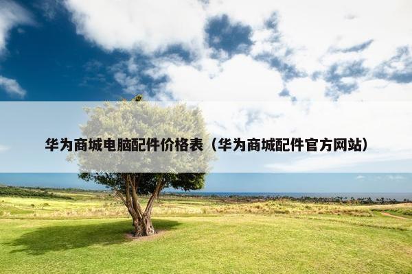 华为商城电脑配件价格表（华为商城配件官方网站）