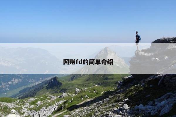 网赚fd的简单介绍