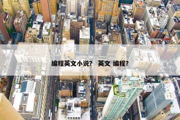 编程英文小说？ 英文 编程？