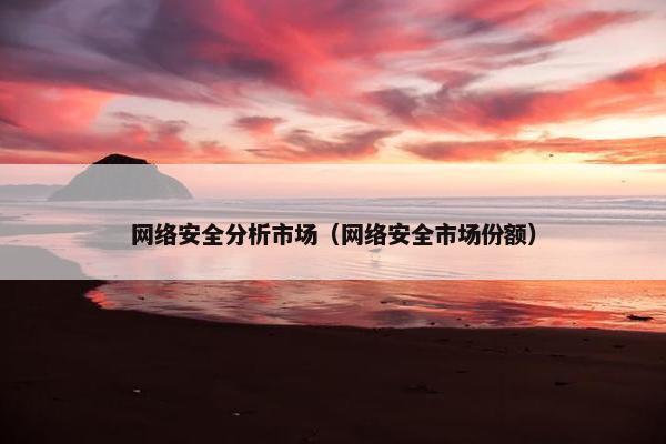 网络安全分析市场（网络安全市场份额）