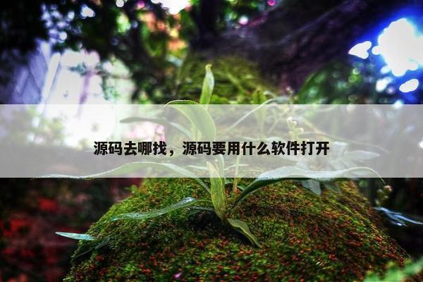 源码去哪找，源码要用什么软件打开
