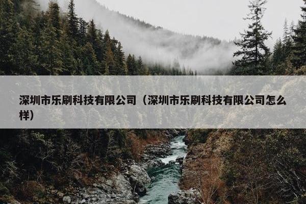 深圳市乐刷科技有限公司（深圳市乐刷科技有限公司怎么样）