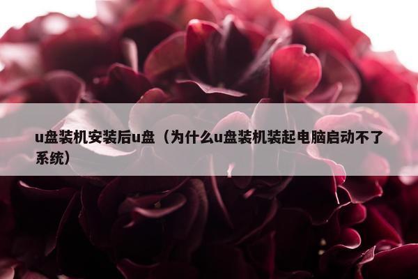 u盘装机安装后u盘（为什么u盘装机装起电脑启动不了系统）