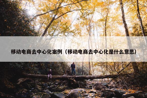 移动电商去中心化案例（移动电商去中心化是什么意思）