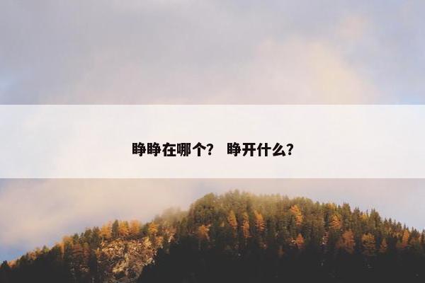 睁睁在哪个？ 睁开什么？