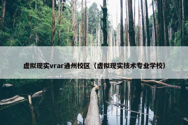 虚拟现实vrar通州校区（虚拟现实技术专业学校）