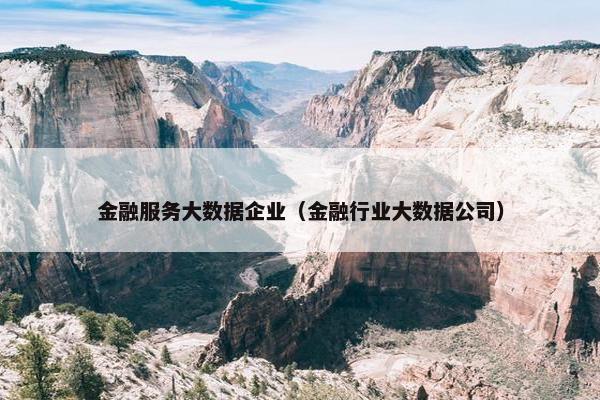 金融服务大数据企业（金融行业大数据公司）