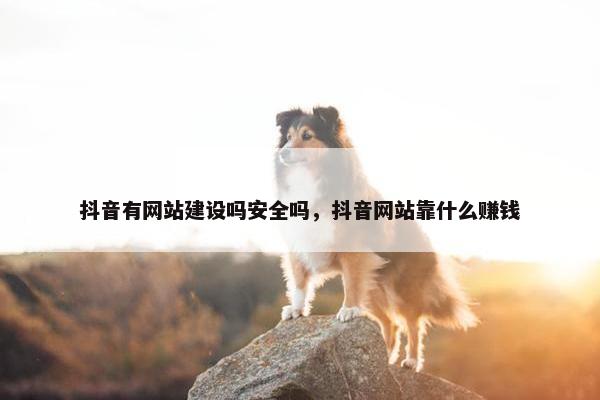 抖音有网站建设吗安全吗，抖音网站靠什么赚钱