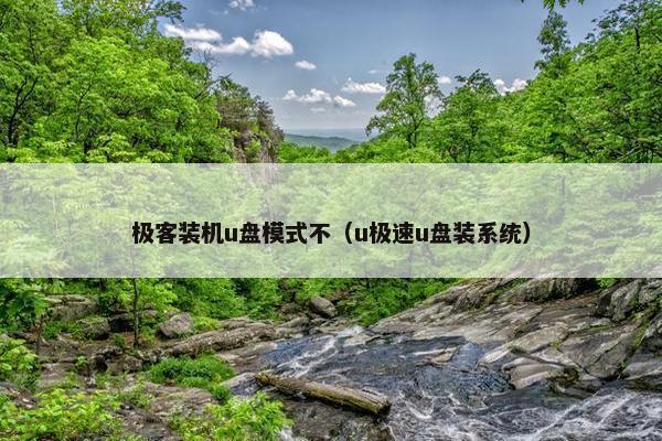 极客装机u盘模式不（u极速u盘装系统）