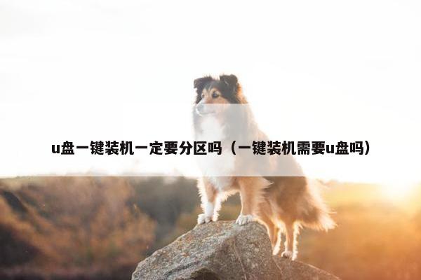 u盘一键装机一定要分区吗（一键装机需要u盘吗）
