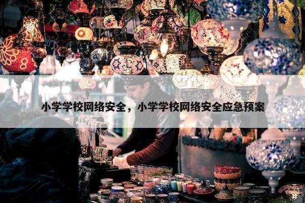 小学学校网络安全，小学学校网络安全应急预案