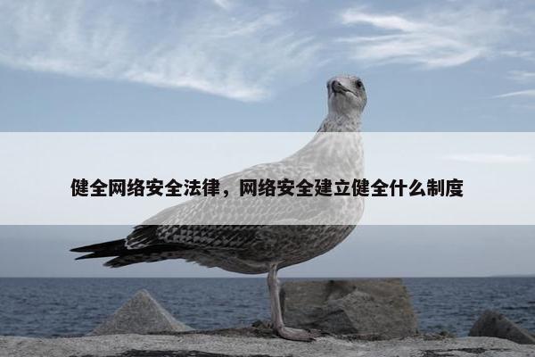 健全网络安全法律，网络安全建立健全什么制度