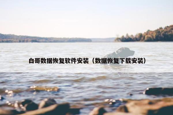 白哥数据恢复软件安装（数据恢复下载安装）