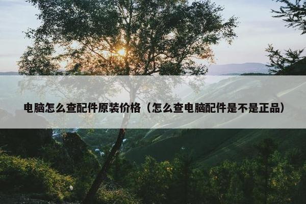 电脑怎么查配件原装价格（怎么查电脑配件是不是正品）