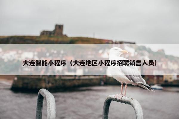 大连智能小程序（大连地区小程序招聘销售人员）