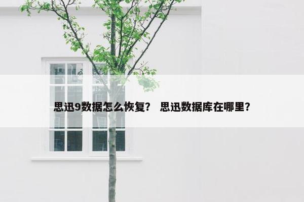 思迅9数据怎么恢复？ 思迅数据库在哪里？