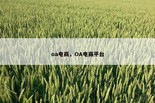 oa电商，OA电商平台