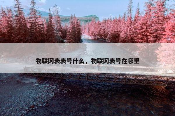 物联网表表号什么，物联网表号在哪里