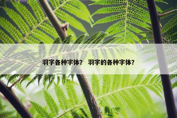 羽字各种字体？ 羽字的各种字体？