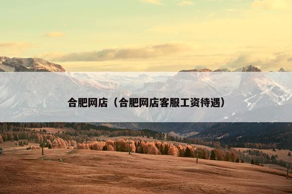 合肥网店（合肥网店客服工资待遇）