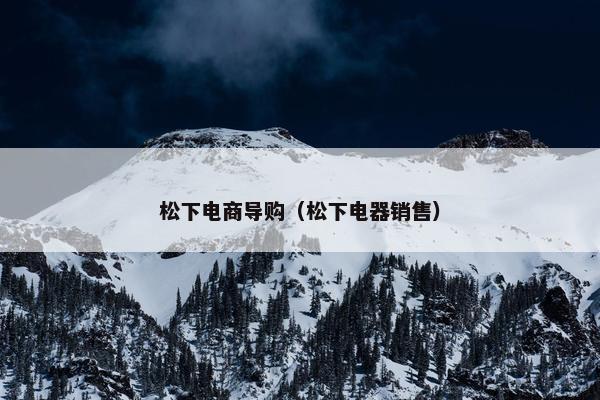 松下电商导购（松下电器销售）