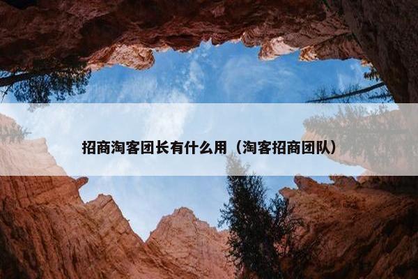 招商淘客团长有什么用（淘客招商团队）