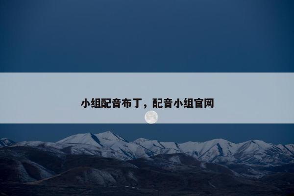 小组配音布丁，配音小组官网