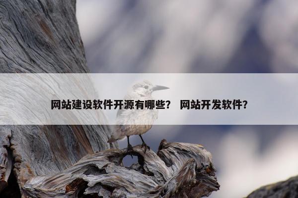 网站建设软件开源有哪些？ 网站开发软件？