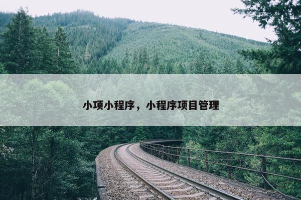 小项小程序，小程序项目管理