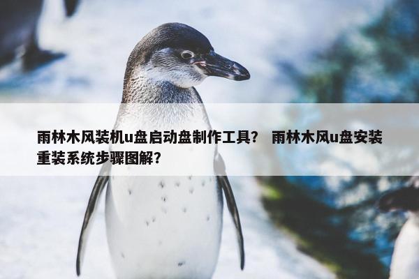 雨林木风装机u盘启动盘制作工具？ 雨林木风u盘安装重装系统步骤图解？