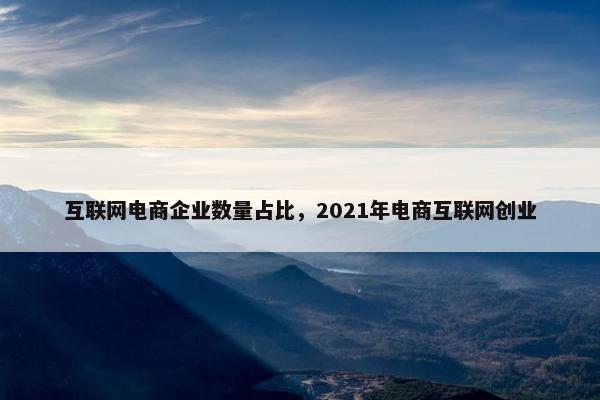 互联网电商企业数量占比，2021年电商互联网创业